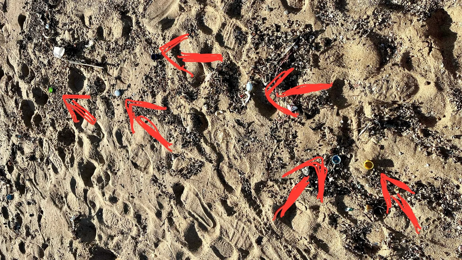 Perspektivwechsel: Umwelt und Gesetze